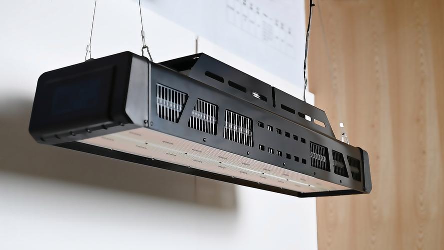 全能星植物灯 灯路科技如何重新定义室内种植光照